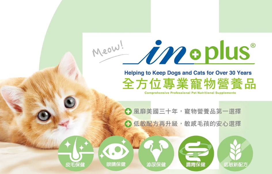 狗狗益生菌怎麼吃